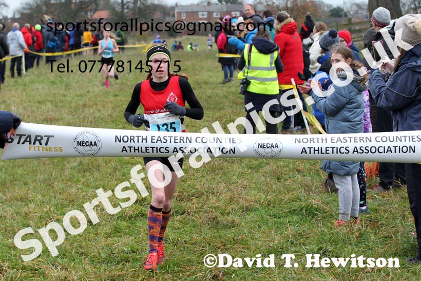 Girls under-13s, 2021 North Eastern Cross Country Championships, Sedgefield. Photo: David T. Hewitson/Sports for All Pics